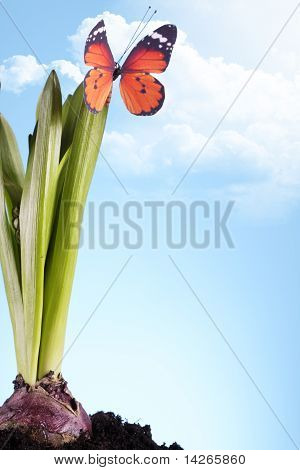 Concept de jardinage