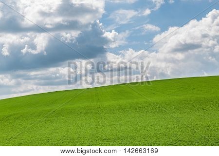Fields Near Hodonin In Moravia