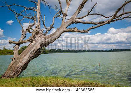 View of the Jarohnevicky pond near the city Hodonin in Moravia Czech Republic