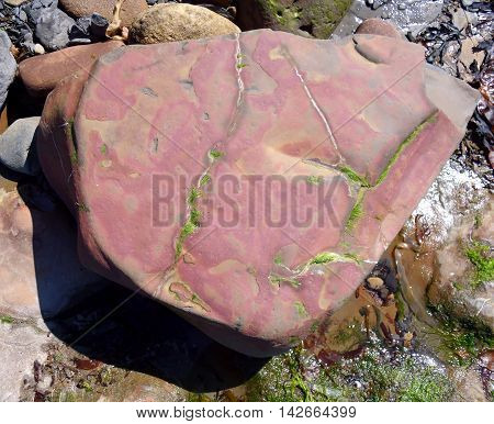 Red Rock on Beach at Runswick Bay in North Yorkshire