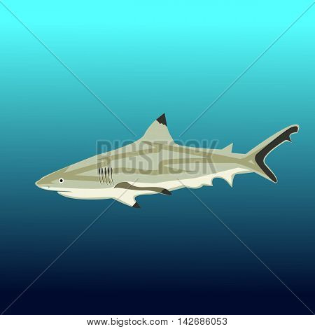 Great white shark sign logo on a blue background