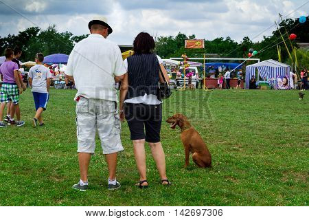 Perekhrest Ukraine - August 14. 2016:Visitors look at a dog breed Vizla during the first festival of hunters.