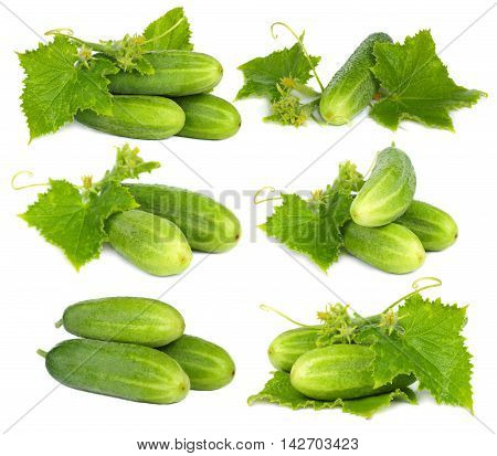Green cucumber vegetable on white background - set