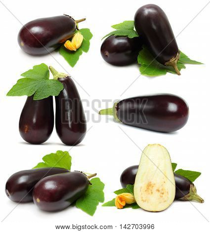 Eggplant vegetable on white background - set