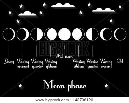 The phases of the moon. The whole cycle from new moon to full. Vector illustration.