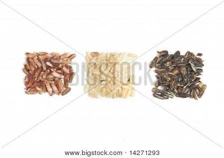 Three Types Of Rice Squared