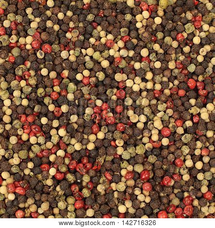 Mixed peppercorns - colorful food spicy background