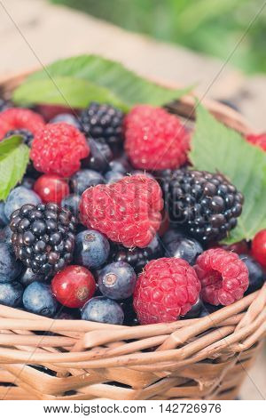 Basket of assorted ripe wild berries closeup