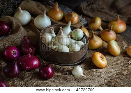 Yellow red and white onions on a wooden surface. Rusic style
