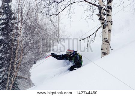 Freeride run in Siberian forest, powder run