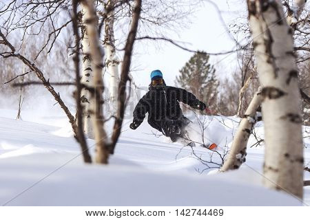 Freeride run in Siberian forest, powder run