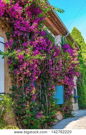 Alley In The Provencal Village Grimaud, France