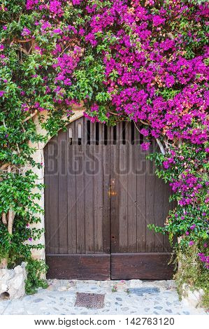 In Saint-paul-de-vence, Provence, France