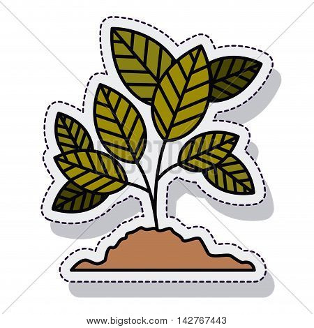tree plant ecology isolated cion vector illustration design