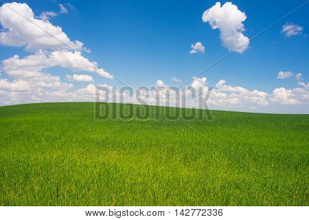beautiful landscape clean blue sky. beautiful landscape clean blue sky.