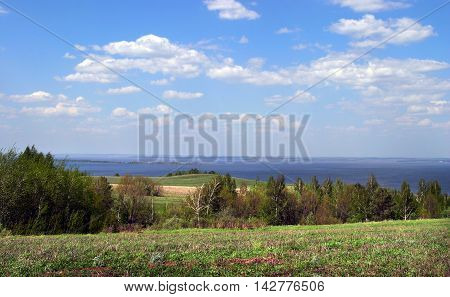 Summer Landscape