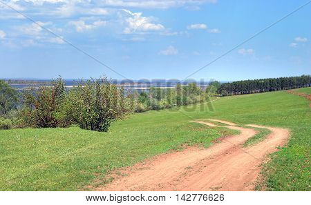Summer Landscape