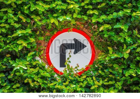 Turns to the right sign with green leaf