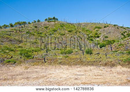 The bald hill. Greece Rhodes. In the centr island.