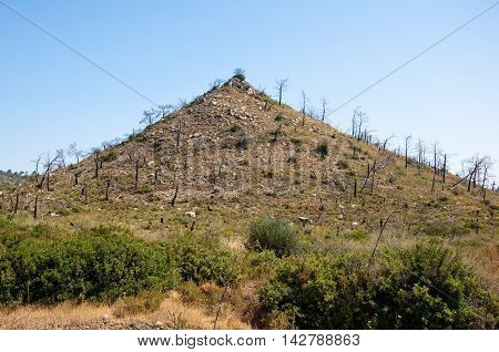 The bald hill. Greece Rhodes. In the centr island.