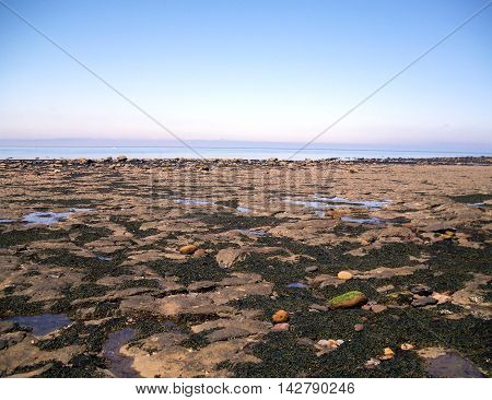 Rocky Beach in Runswick Bay in North Yorkshire