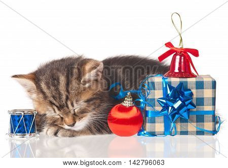Cute kitten with accessories of celebration of new year isolated on white background