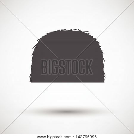 Hay Stack Icon