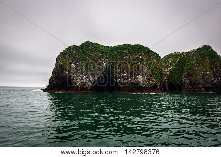 Green rocky cliffs form the coastline of the Avacha Bay, Kamchatka, Russia