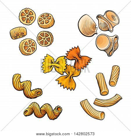 Big collection of italian pasta sketch style illustration isolated on white background. Set of shells bow spiral penne fusilli tagliatelle pasta. Different types of italian noodles