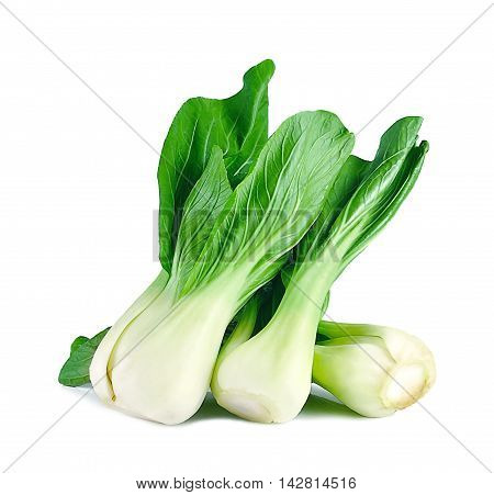 Mockpak choi isolated close up on white background