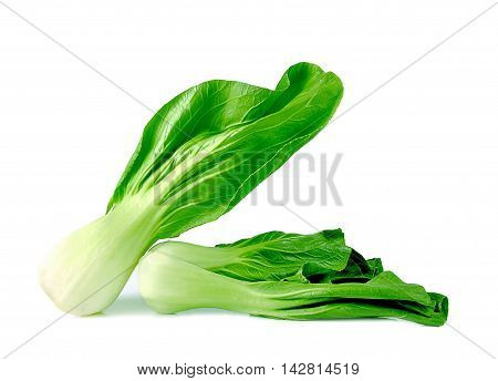 Mockpak choi isolated close  up on white background