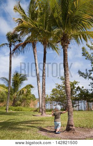 Toddler taking first steps in a tropic park. Cute little boy learning to walk outside in a grassy park near the lake. Small child walking on the grass near palms.