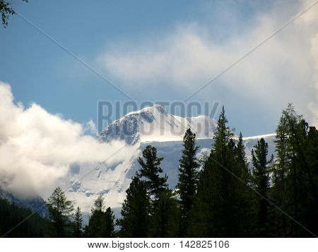 Mountain landscape. Wild nature. Altai. Adventure Tour.
