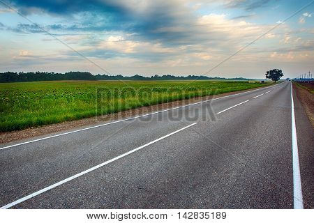 Empty asphalt road between flower meadows in the countryside. A solitary tree on the horizon