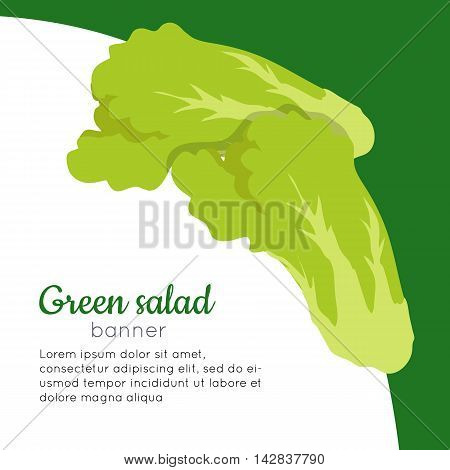 Green salad banner. Healthy food concept. Organic natural food. Consumption of high quality nourishment food. Part of series of promotion healthy diet and good fit. Vector illustration