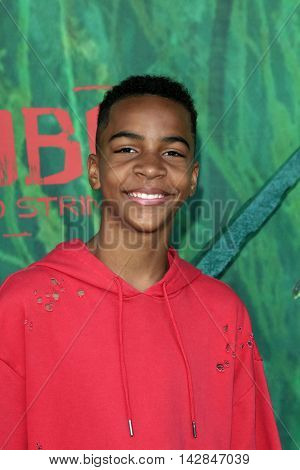 LOS ANGELES - AUG 14:  Terrell Ransom Jr at the 