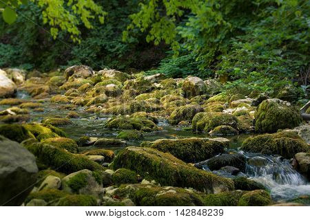 Mountain river flowing through the bottom of the canyon.