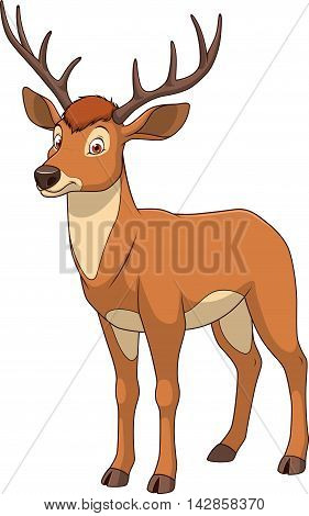Vector illustration adult funny deer smiling on a white background