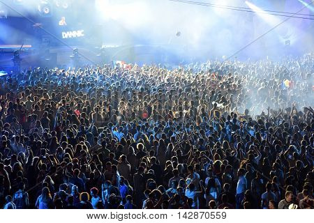 Crowd In A Stadium At A Concert