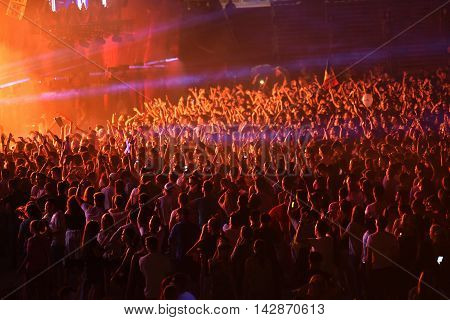 Crowd In A Stadium At A Concert