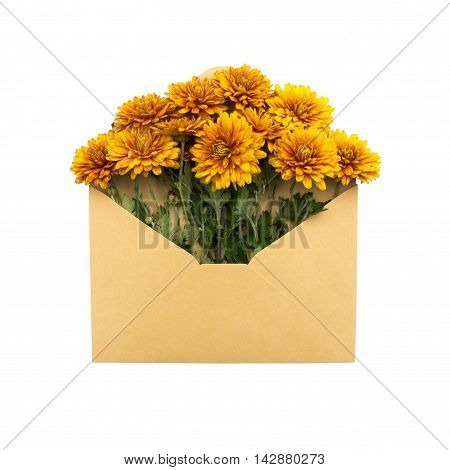 flowers in the envelope. isolated on white background. love letter. healing flowers.