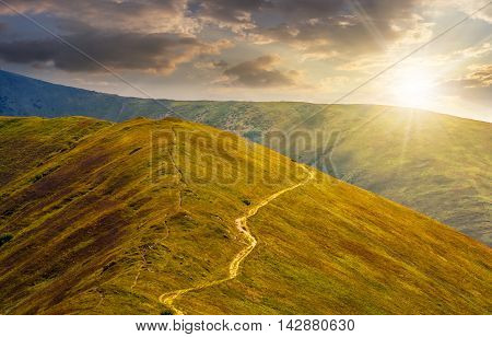 winding road through large meadows on the hillside of Polonina mountain range in evening light