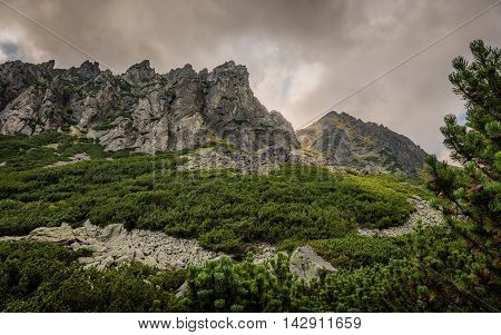 Mountain Landscape on Cloudy Day. Mlynicka Valley High Tatra Slovakia.