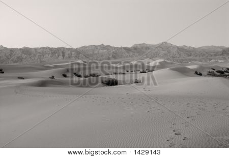 Dunes de sable à la vallée de la mort en Californie (États-Unis)