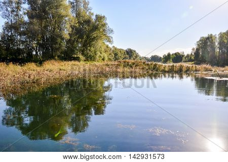 Wild Brenta River