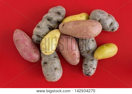 Fingerling potatoes on a red cutting board, multiple colors