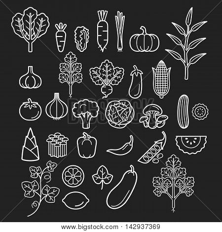 Vegetables Icons. Vector Illustration.