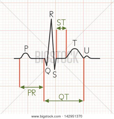 Vector cardiogram, electrocardiogram, heart beat graph, flat design