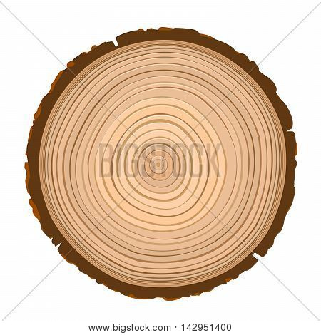 texture of sawn wood brown object isolated