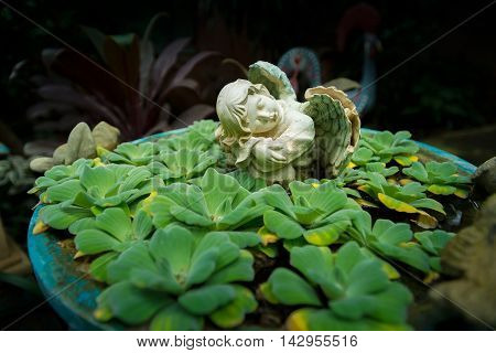 Garden statue of angel holding the dove